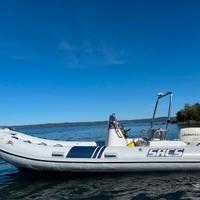 Sacs 490+Johnson 40/50+carrello omologato 750kg