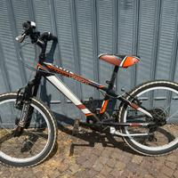 Mountain bike COBRAN VERTICAL VRT