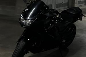 Kawasaki Ninja 250R