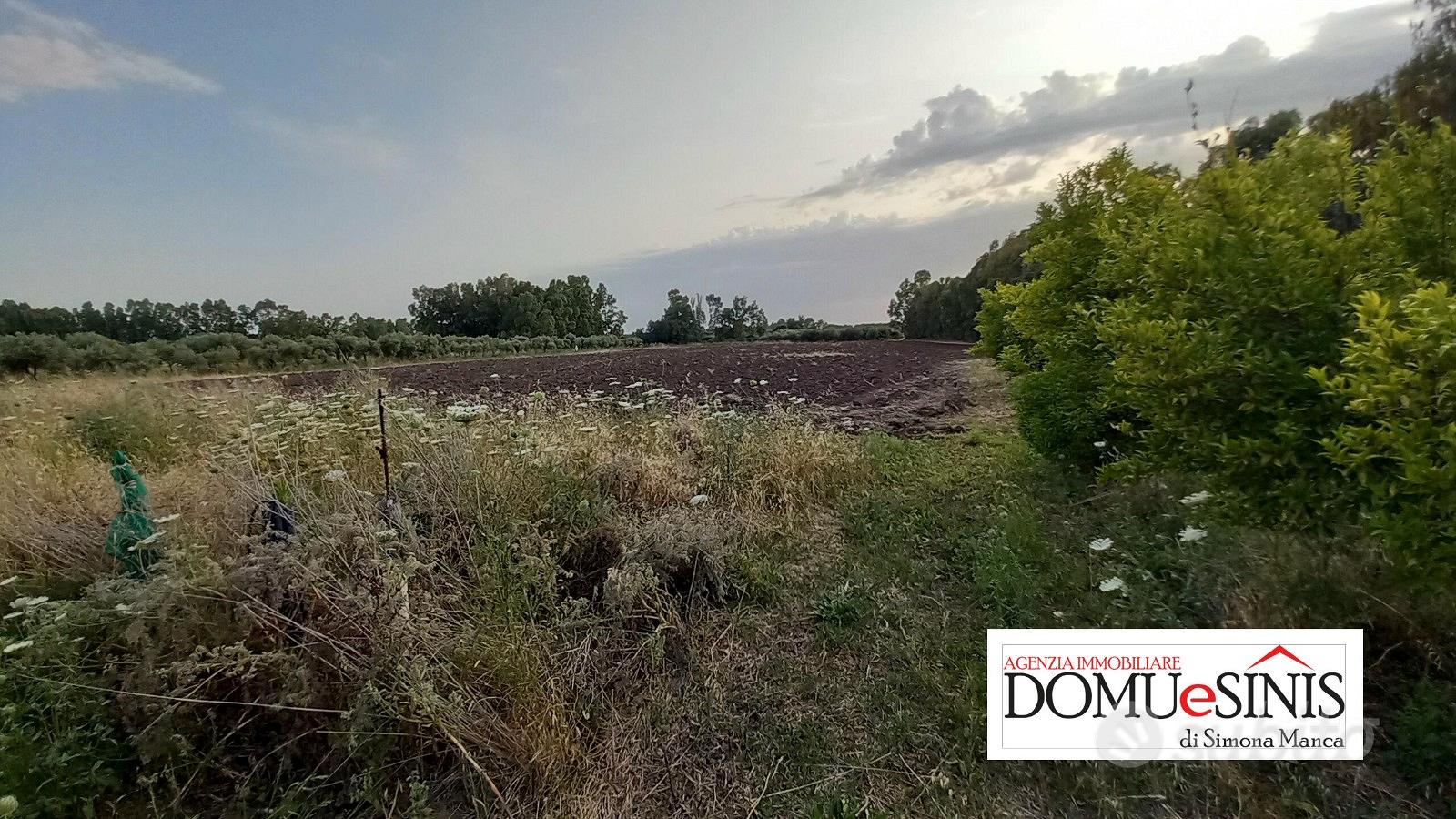 Terreno agricolo milis - Vista 3