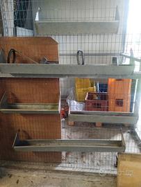 Mangiatoie in ferro