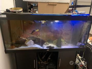 Acquario 500L con mobile