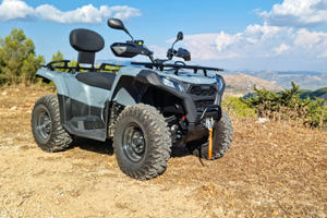 Quad ATV Goes nuovi e usati