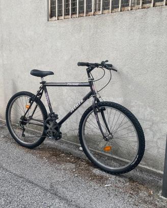 Bicicletta Mountainbike Atala Ruota da 26
