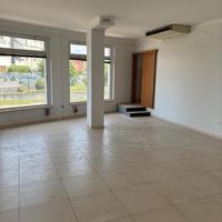 Zevio (VR) negozio con plateatico esterno