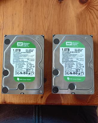HD WESTERN DIGITAL 3.5 SATA CAVIAR GREEN 1TB