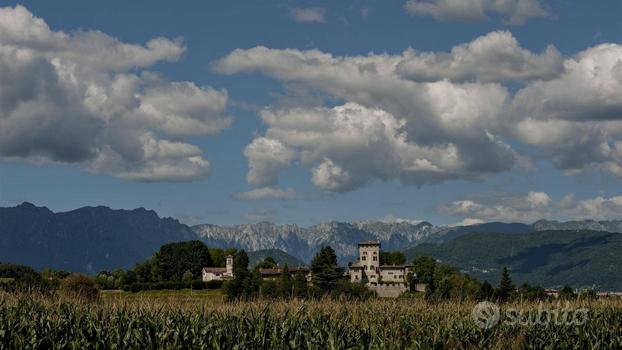 Terreno Agricolo - Cassacco