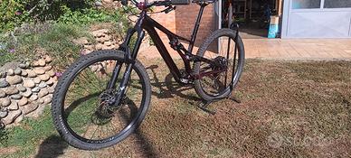Specialized Stumpjumper Carbon Evo