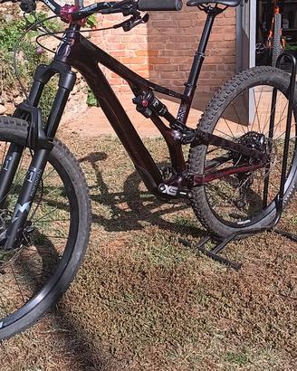Specialized Stumpjumper Carbon Evo