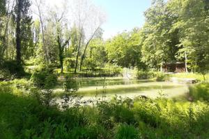 Terreno di 100000 m² a Umbertide