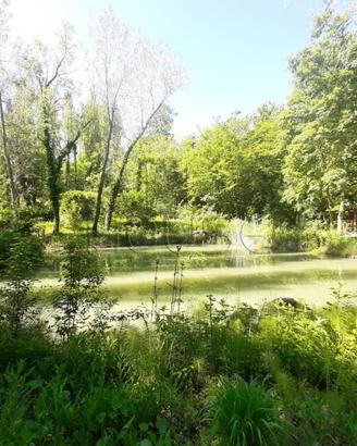 Terreno di 100000 m² a Umbertide