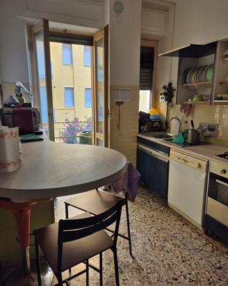 Camera Singola Arredata Città Studi Politecnico