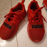 Puma bimbo/a