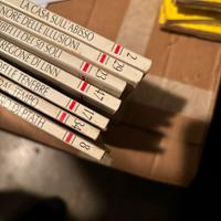 Libro il fanatstico economico classico