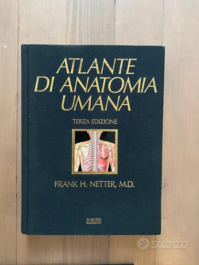 Faringe tavola Netter Atlante Anatomia - Deambulatore Subito