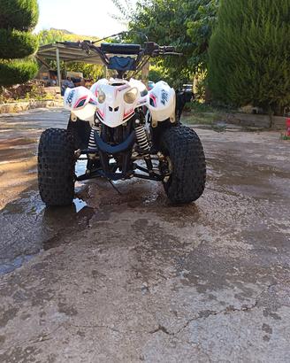 quad 110cc