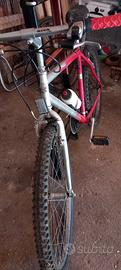 bici ragazzo Bottecchia