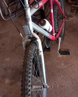 bici ragazzo Bottecchia