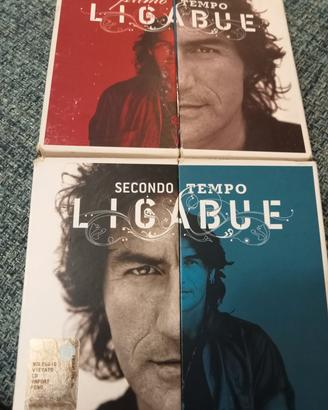 Luciano Ligabue 