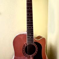 Chitarra 12 corde Washburn