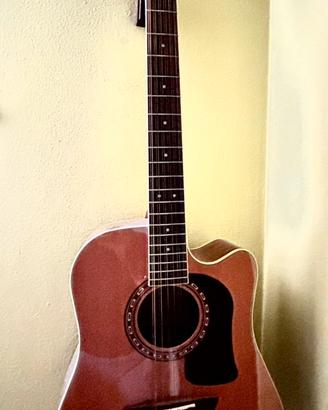 Chitarra Washburn