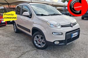 Fiat Panda 1.3 MJT S&S 75CV 4x4 Diesel Climbing
