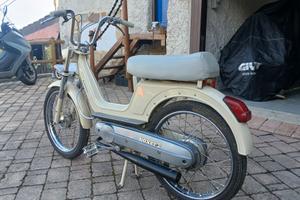 boxer ciao bravo piaggio 