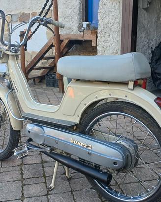 boxer ciao bravo piaggio 