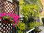 Immagine 29