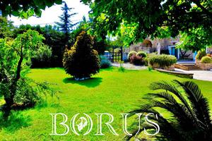 Azienda Agricola - Conca della Campania