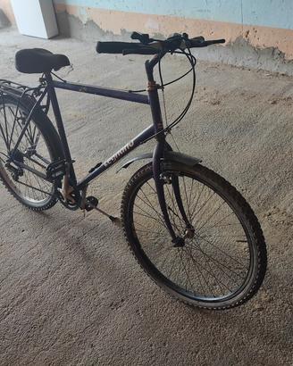 bicicletta uomo 26