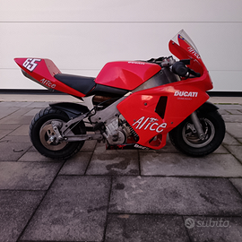 Polini minimoto mini moto 910