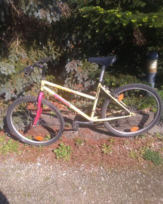 Bicicletta Bianchi off road