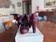 Immagine 3