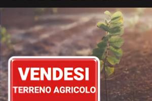 Terreno agricolo 1000mq circa in zona residenziale