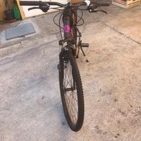 Bicicletta Lombardo