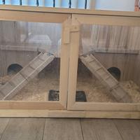 Riccio e gabbia tutto incluso