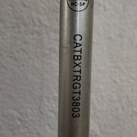 canna da pesca trota lago 