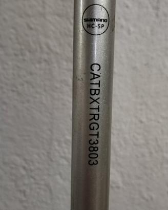 canna da pesca trota lago 