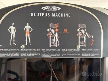GLUTEUS MACHINE PANATTA