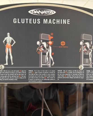 GLUTEUS MACHINE PANATTA