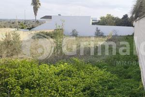Terreno edificabile a Collepasso