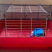 gabbia per coniglio nano