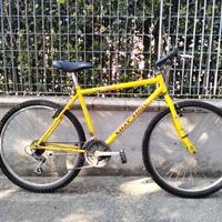 Bicicletta Mountain Bike