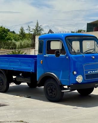 OM Orsetto (1972) – Autocarro Storico – Patente B