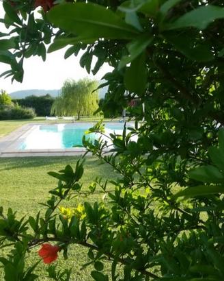 Capalbio Monolocale in casale di campagna