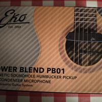 Amplificazione per chitarra acustica 