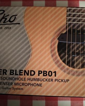 Amplificazione per chitarra acustica 