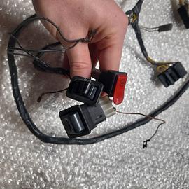 Impianto elettrico Zip Sp