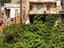 Immagine 13